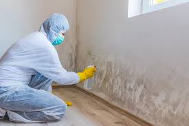 Best Attic Mold Removal  in Nashville, IN